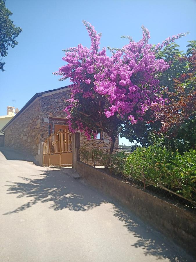 Quinta Silva Villa Ester Room photo